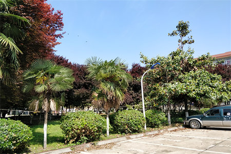 出售泰安啤酒厂宿舍2室1厅1卫74.31平简单装修